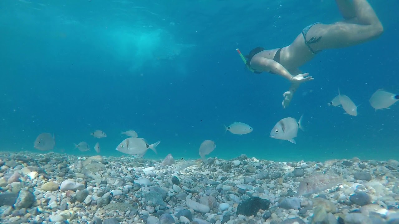 Primo esperimento: lasciare la GoPro sul fondo, smuovere la sabbia e lasciare che i pesci girino attorno!